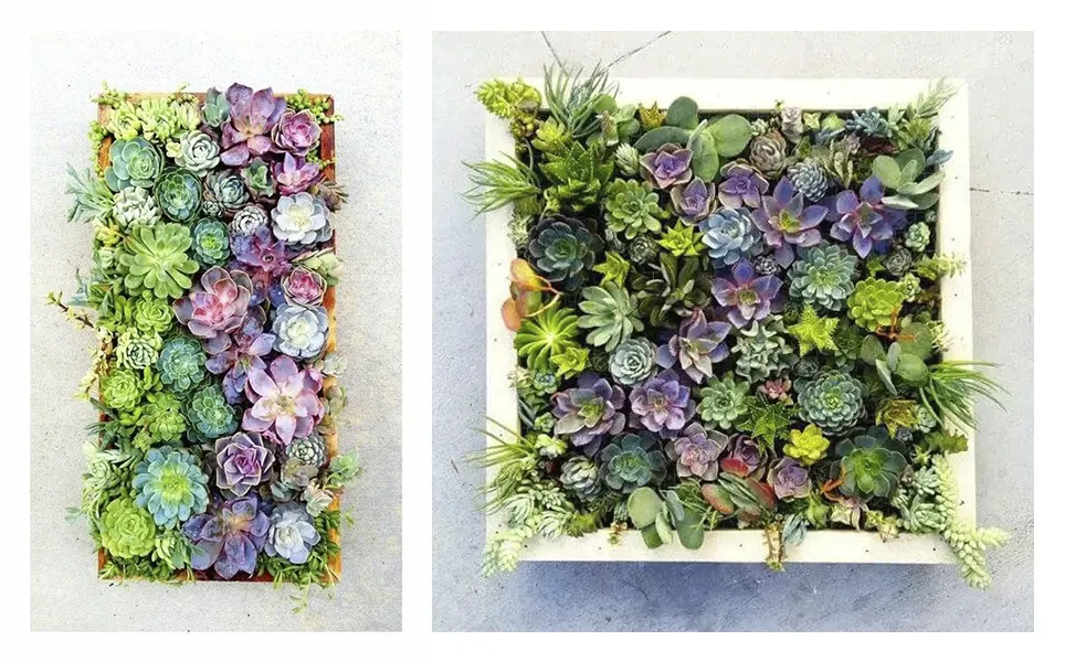 Mannequin Body Painting