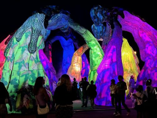 Open Call + AI Report